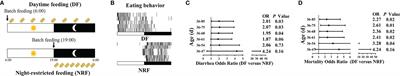 Night-Restricted Feeding Improves Gut Health by Synchronizing Microbe-Driven Serotonin Rhythm and Eating Activity-Driven Body Temperature Oscillations in Growing Rabbits